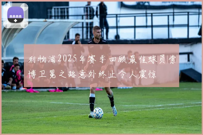 利物浦2025年赛季回顾最佳球员索博卫冕之路意外终止令人震惊