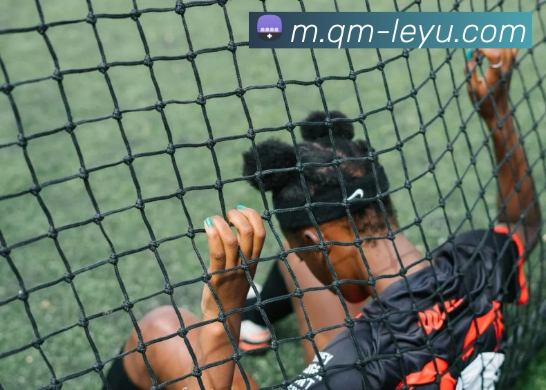 乐鱼体育APP 封面图